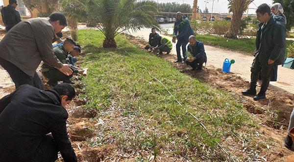 حملة تشجير كبرى بكلية العلوم الاقتصادية والتجارية وعلوم التسيير